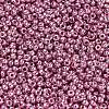 MIYUKI Round Rocailles Beads SEED-G007-RR4218-2