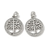 Brass Micro Pave Cubic Zirconia Pendents KK-R210-21P-02-1