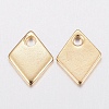 304 Stainless Steel Charms STAS-H436-53-2