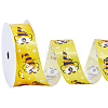 Polyester Ribbon OCOR-CY0004-19E-7