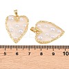 Rack Plating Brass & Epoxy Resin Pendants X-KK-C059-10A-G-3
