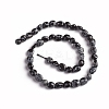 Natural Snowflake Obsidian Beads Strands G-D0002-D60-2