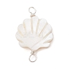 Natural Freshwater Shell Connector Charms PALLOY-JF02442-02-1
