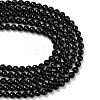 Natural Black Onyx Beads Strands G-C280-B01-10mm-5