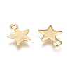 304 Stainless Steel Charms STAS-F159-43G-2