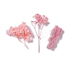 Dried Flowers DIY-D052-05-2