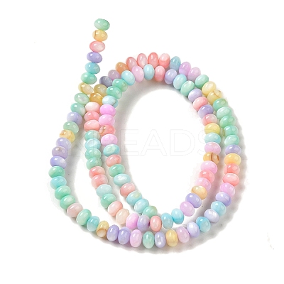 Rainbow Color Dyed Natural Freshwater Shell Beads Strands SHEL-G018-02G-1