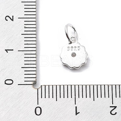 925 Sterling Silver Cubic Zirconia Pendants STER-Q001-02S-02-1
