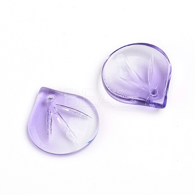 Transparent Glass Charms LS-GLAA-H016-05E-17-1