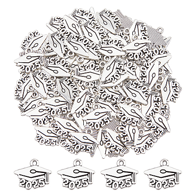 100Pcs Tibetan Style Alloy Pendants FIND-DC0007-27AS-1