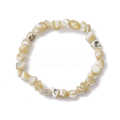 Natural Trochus Shell Beads Stretch Bracelets for Men Women BJEW-JB11685-1