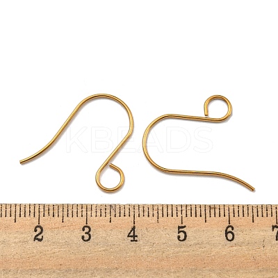 Ion Plating(IP) 316 Stainless Steel French Earring Hooks X-JX138G-1