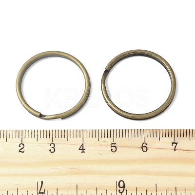 Iron Split Key Rings FIND-B046-07A-AB-1