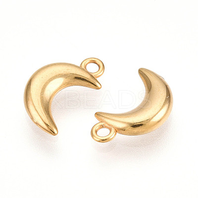 304 Stainless Steel Charms STAS-N109-138G-1