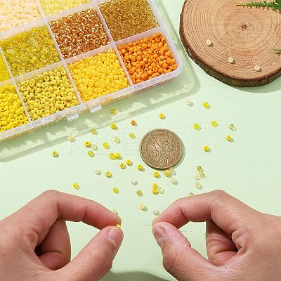 3960pcs 12 Style 8/0 Glass Seed Beads SEED-CJ0001-21-1
