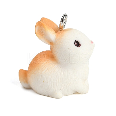 Cute Opaque Resin Pendants RESI-R458-05F-1