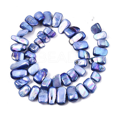 Natural Freshwater Shell Beads Strands SHEL-N026-123G-1