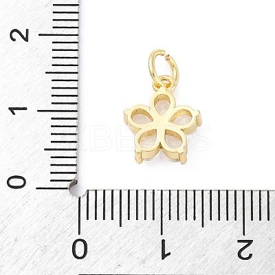 Brass Micro Pave Cubic Zirconia Charms X-KK-S510-13G-1