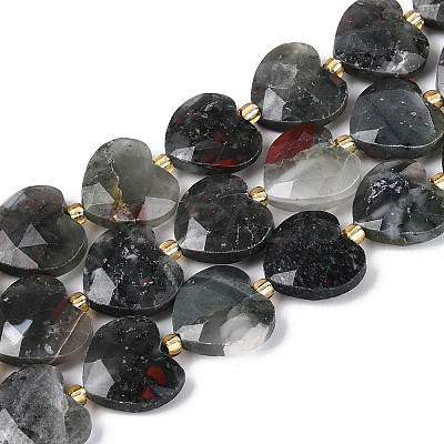 Natural African Bloodstone Beads Strands G-P592-B07-01-1