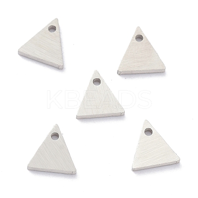 Tarnish Resistant 304 Stainless Steel Pendants STAS-K216-45P-1