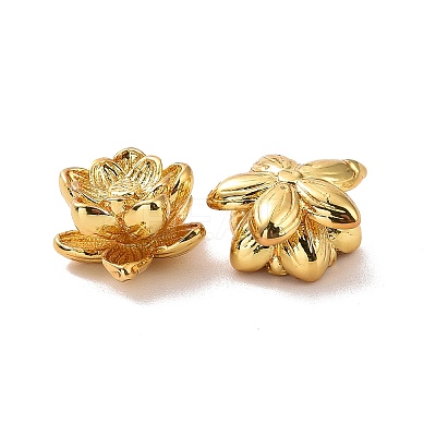 Eco-friendly Brass Beads LS-KK-D079-08G-1