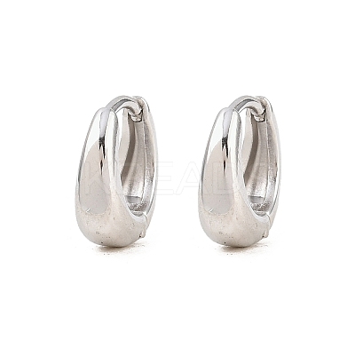316 Surgical Stainless Hoop Earrings EJEW-C160-06B-P-1