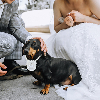 Polyester Pet Dog Wedding Ring Displays AJEW-WH0460-074P-01-1
