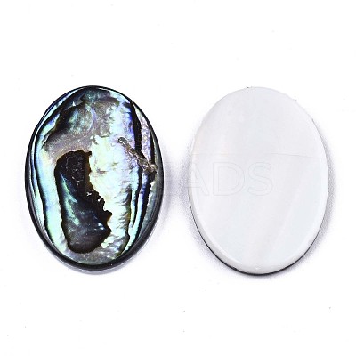 Natural Abalone Shell/Paua Shell Cabochons SSHEL-N034-73B-01-1