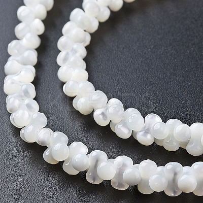 Natural Trochid Shell/Trochus Shell Bead Strands SSHEL-N034-104-B01-1