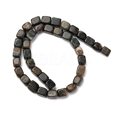 Natural Biotite Beads Strands G-B155-D05-1