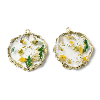Transparent Resin Pendants RESI-D050-15LG-1