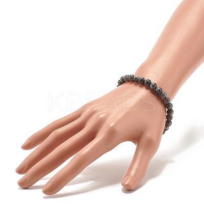Natural Larvikite Round Beads Stretch Bracelet BJEW-JB07209-03-1