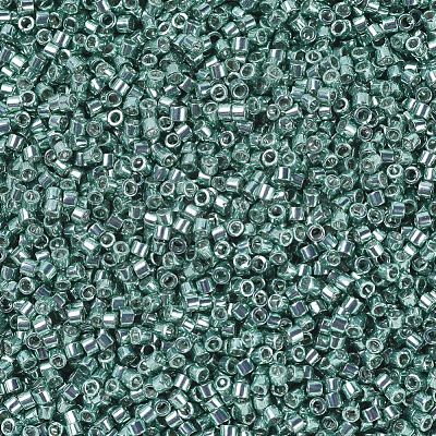 MIYUKI Delica Beads SEED-X0054-DB0416-1