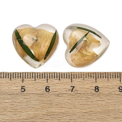 Transparent Resin Cabochons RESI-K033-10-1