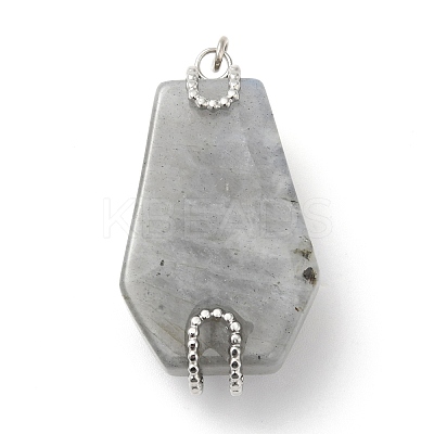 Natural Labradorite Pendants G-G870-09P-01-1