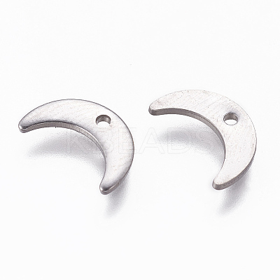 Tarnish Resistant 304 Stainless Steel Charms LS-STAS-L234-073P-1