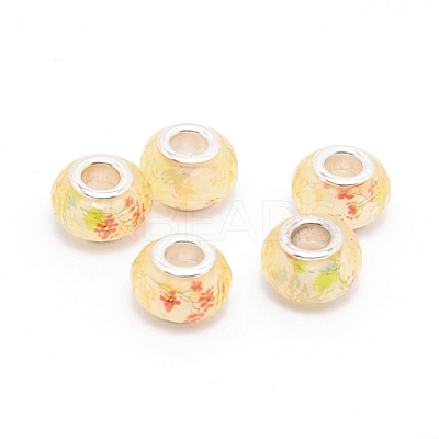 Resin European Beads RPDL-TAC0002-02B-1