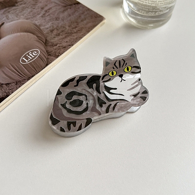 Acrylic Claw Hair Clips PW-WG49337-06-1