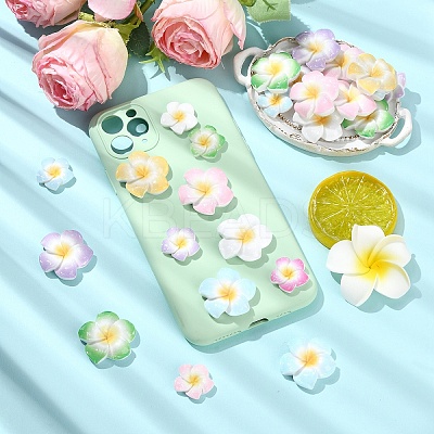 60Pcs 2 Styles Plumeria Flower Opaque Resin Cabochons CRES-YW0002-60-1