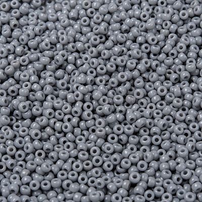 MIYUKI Round Rocailles Beads X-SEED-G008-RR0498-1