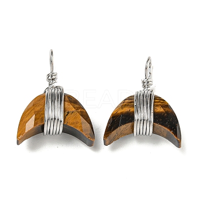 Natural Mixed Stone Copper Wire Wrapped Pendants G-B079-01P-1