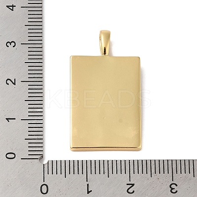 Brass Enamel Pendants KK-L216-009G-01-1