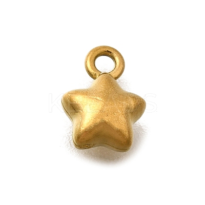 304 Stainless Steel Charms LS-STAS-D310-06G-05-1