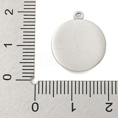 304 Stainless Steel Pendants STAS-L080-014P-01-1