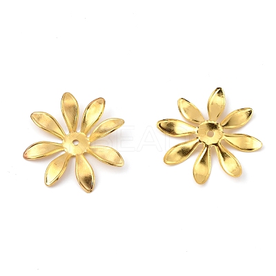 Multi-Petal Iron Bead Caps IFIN-WH0070-08G-1
