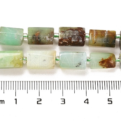 Natural Chrysoprase Beads Strands G-G068-A34-01-1
