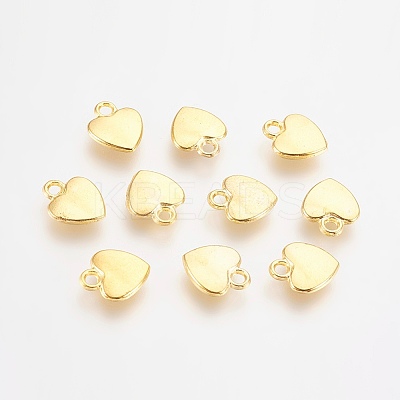 Tibetan Style Alloy Charms LS-K08QL012-1