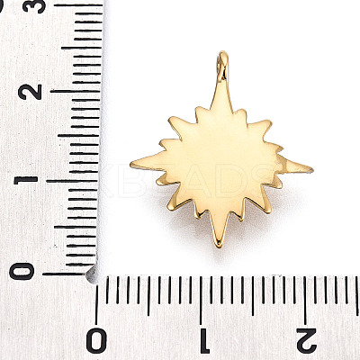 316 Surgical Stainless Steel Pendants X-STAS-I164-029G-1