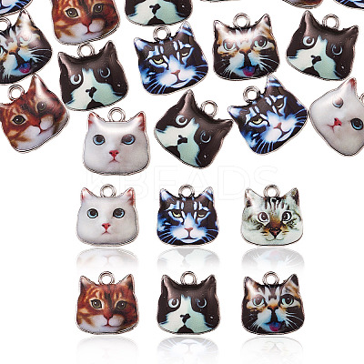 60Pcs 6 Colors Zinc Alloy Enamel Pendants ENAM-CJ0001-77-1