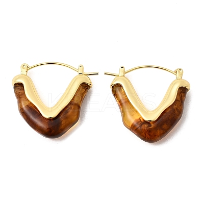 Brass Resin Hoop Earrings EJEW-P333-11A-G02-1